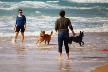 Anne ve kızı köpeklerle kumsalda oynarken