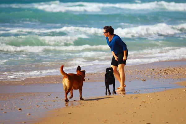 Wanita paruh baya bermain dengan anjing-anjingnya di pantai — Stok Foto