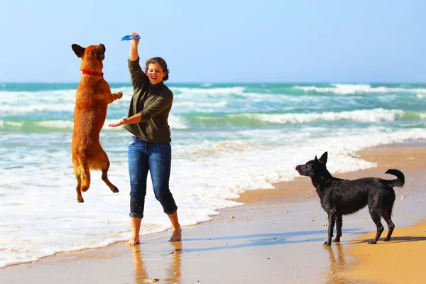 Tonårig flicka leker med hennes hundar på stranden — Stockfoto