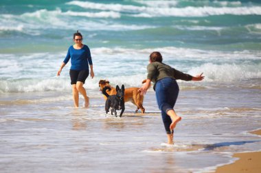 Anne ve kızı köpeklerle kumsalda oynarken