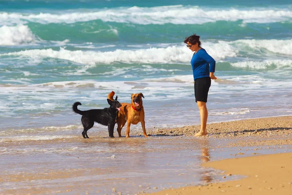 Madura mujer jugando con sus perros en la playa — Foto de Stock