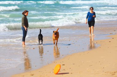 Anne ve kızı köpeklerle kumsalda oynarken