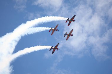 Bir grup uçak Tuna Nehri üzerinde uçuyor.