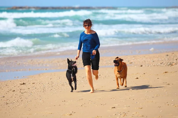 Gammal kvinna leker med sina hundar på stranden — Stockfoto