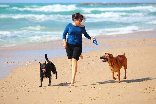 Mulher madura brincando com seus cães na praia . — Fotografia de Stock