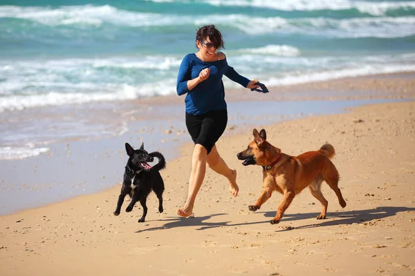 Mulher madura brincando com seus cães na praia . — Fotografia de Stock