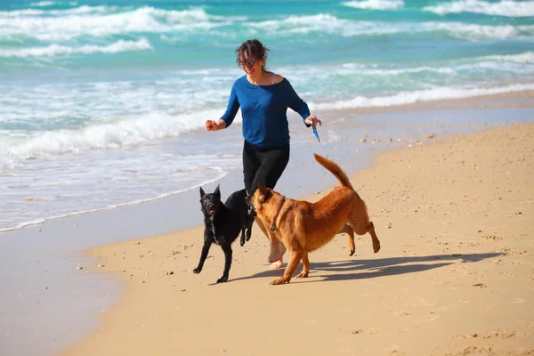 Mulher madura brincando com seus cães na praia . — Fotografia de Stock