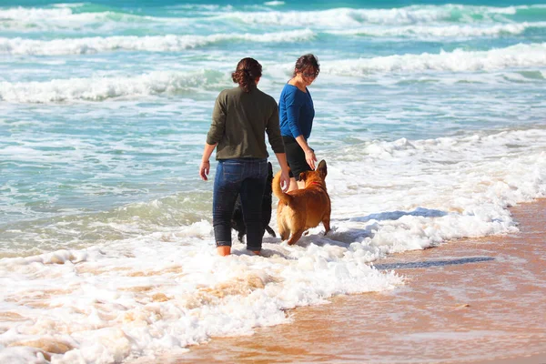 Mother and daughter playing with dogs at the beach — Stock Photo, Image