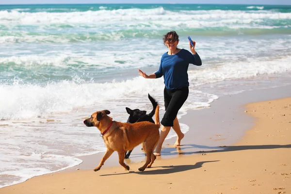 Gammal kvinna leker med sina hundar på stranden. — Stockfoto