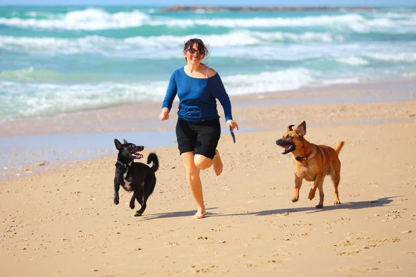 Зрелая женщина играет со своими собаками на пляже. Стоковая Картинка