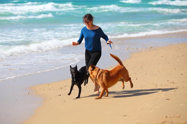 Madura mujer jugando con sus perros en la playa. Imagen de stock
