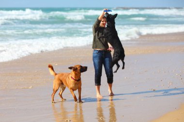 Sahilde köpeklerini ile oynayan genç kız.