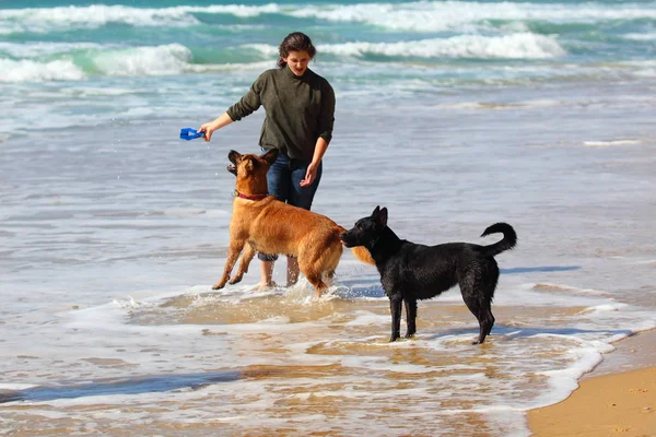 Teenage girl  playing with her dogs on the beach. — Stock Photo, Image