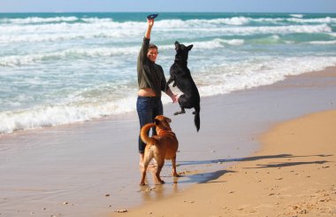 Sahilde köpeklerini ile oynayan genç kız