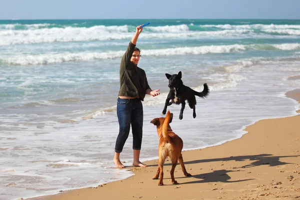 Tonårig Flicka Leker Med Hennes Hundar Stranden — Stockfoto