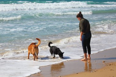 Sahilde köpeklerini ile oynayan genç kız