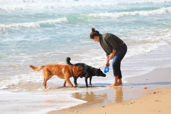 Tonårig Flicka Leker Med Hennes Hundar Stranden — Stockfoto