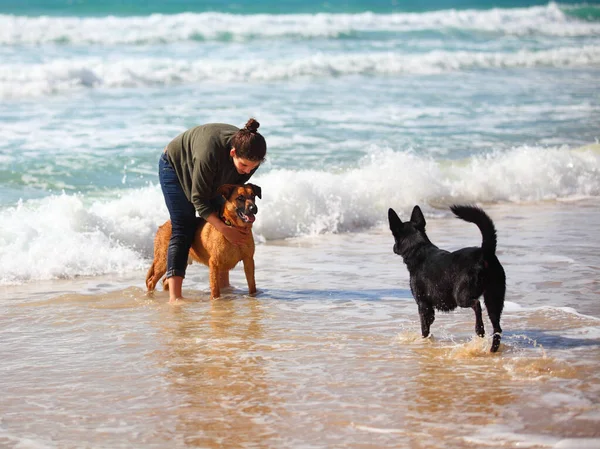 Teenage Girl Playing Her Dogs Beach — Stock Photo, Image