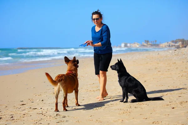 Madura Mujer Jugando Con Sus Perros Playa — Foto de Stock