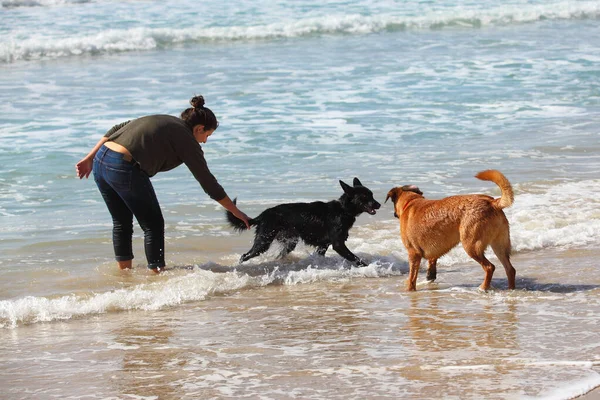 代の少女がビーチで彼女の犬と遊ぶ — ストック写真