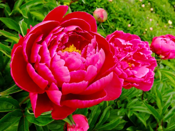 Adam Jumper Dağı'nda