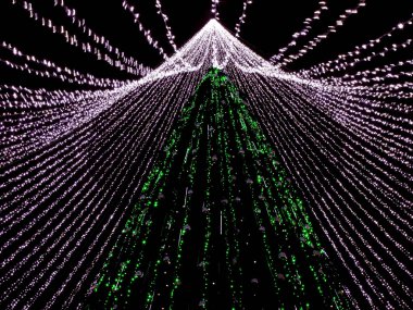 Vilnius City 'de Noel ağacı