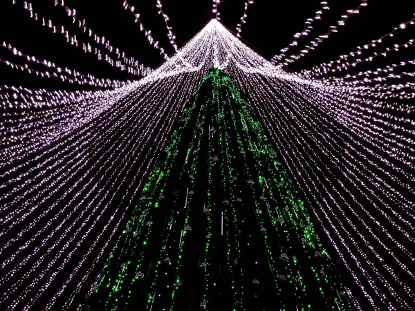 Vilnius City 'de Noel ağacı