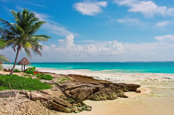 Tropisk strand i Det karibiske hav. – stockfoto