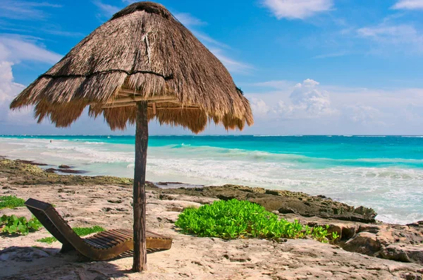 Plage tropicale dans la mer des Caraïbes, Yucatan, Mexique . — Photo