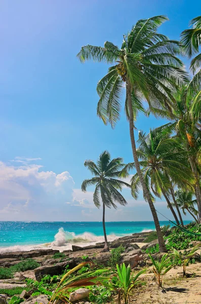 Tropischer Strand am karibischen Meer. — Stockfoto