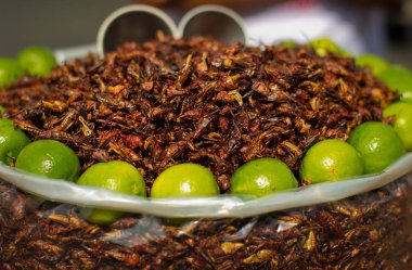 Fried çekirge bir Pazar 
