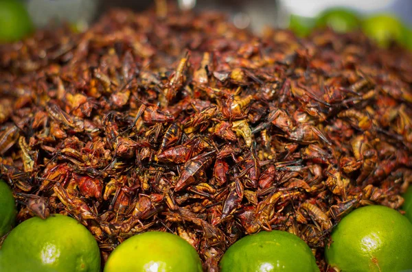 Stekt gräshoppor på en marknad — Stockfoto