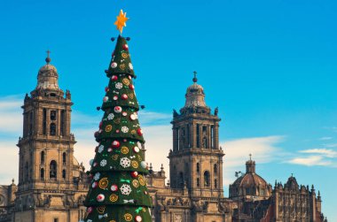 Büyükşehir Katedrali ve Noel ağacı 