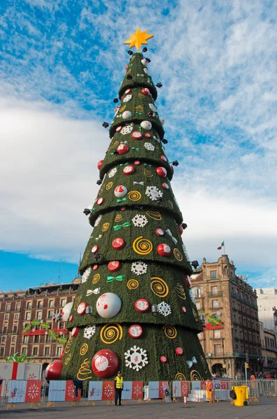 Catedral Metropolitana y Árbol de Navidad — Foto de Stock