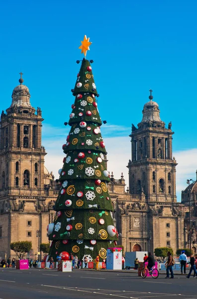 Metropolitan Cathedral en kerstboom — Stockfoto