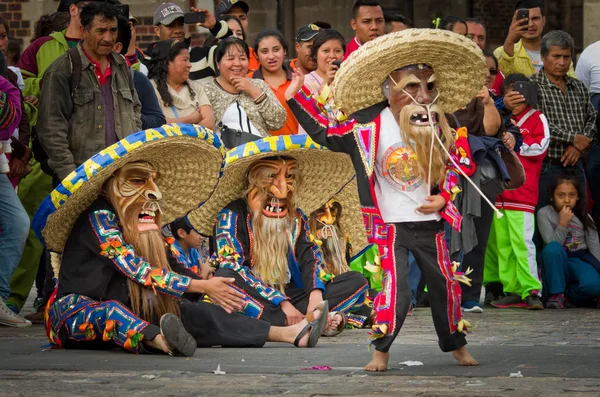 Festival of Our Lady of Guadalupe — Stock Photo, Image