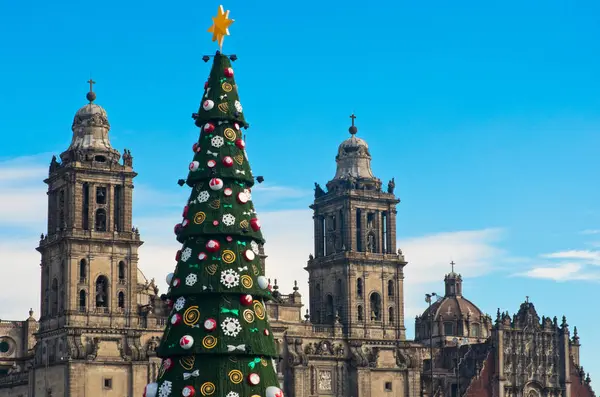 Cattedrale metropolitana e albero di Natale — Foto Stock