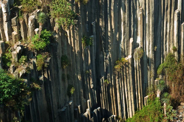 サンタ マリア レグラの玄武岩角柱 — ストック写真