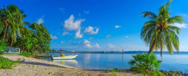 Tropikal Sandy Beach Karayip Denizi üzerinde 