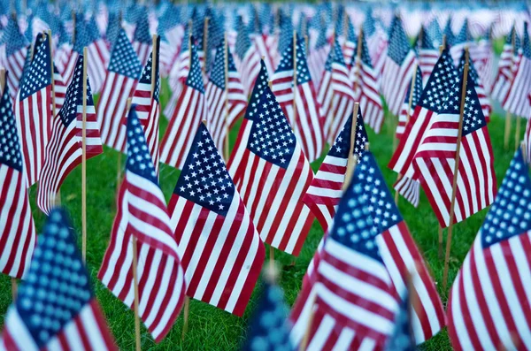 Bandiere americane nel Memorial Day Immagine Stock