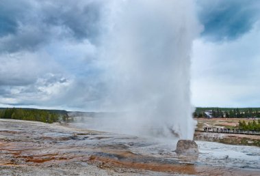 Beehive Geyser in National Park clipart