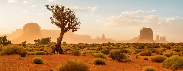 Пустыня в Долине Монументов — стоковое фото