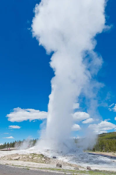 Castle Geyser in National park — Stock Photo, Image