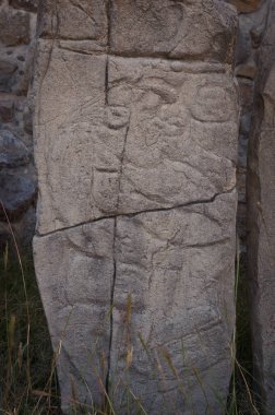 Monte Alban kalıntıları 