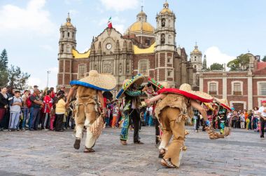 Virgin Guadalupe Festivali