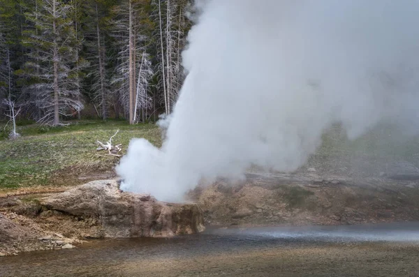 Eruzione di Riverside Geyser — Foto Stock