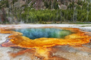 Milli Park içinde zümrüt Havuzu