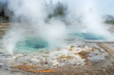 Smasmodic geyser in National Park clipart