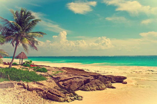 Tropischer Strand im Meer — Stockfoto