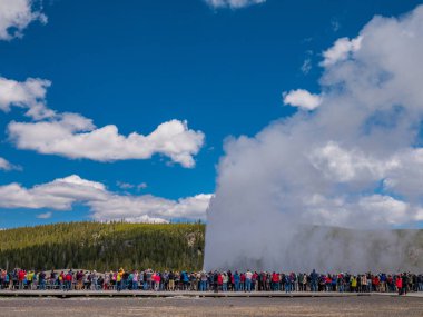 Yellowstone Milli Parkı